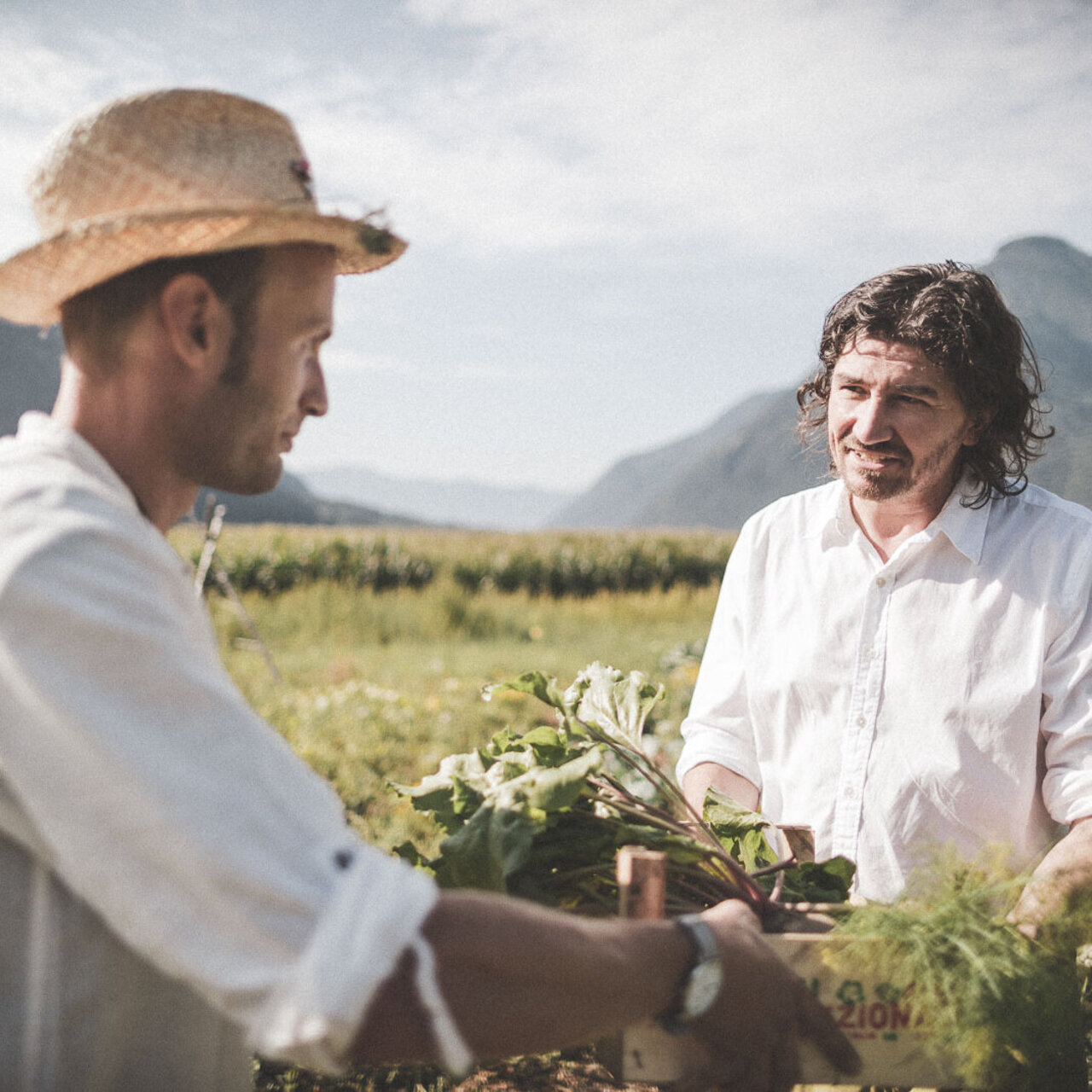 prodotti tipici altoatesini 